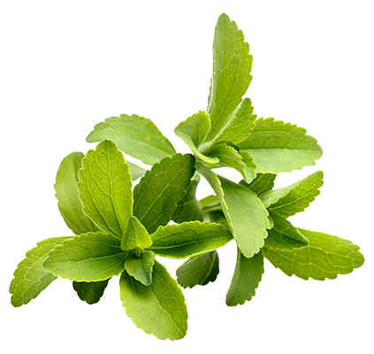 SweetLeaf Stevia Leaves